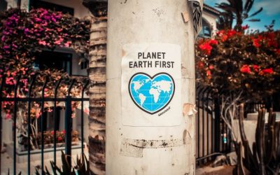 10 Tips for Creating a Sustainable Startup